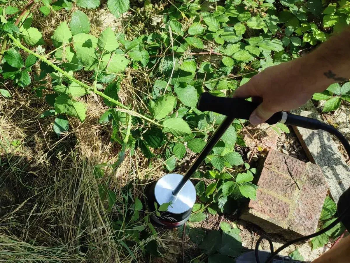 Ground microphone on a T-handle pressed into brambles and long grass on the overgrown plot